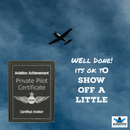 private pilot license, private pilot's license