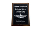 private pilot license cost,