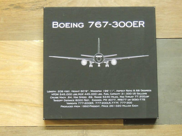 Boeing 767-300ER Leather Wall Art