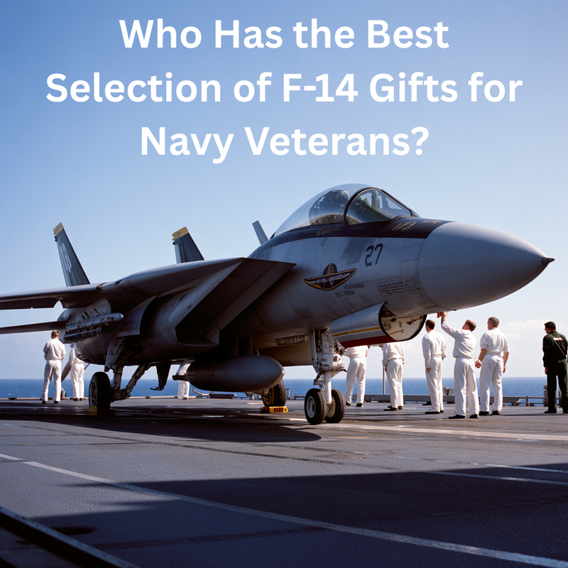 Who Has the Best Selection of F-14 Gifts for Navy Veterans