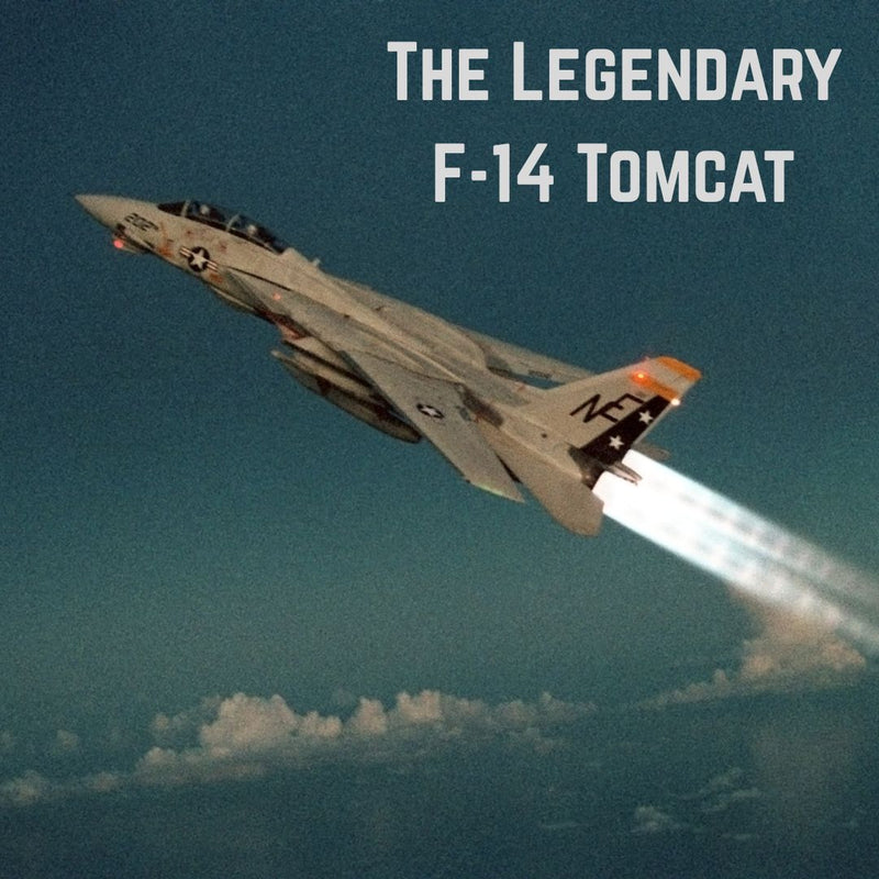 F-14 Tomcat