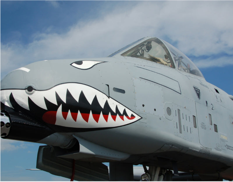 A 10 Thunderbolt: Why This Aircraft Remains Essential