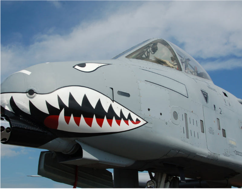 A 10 Thunderbolt: Why This Aircraft Remains Essential