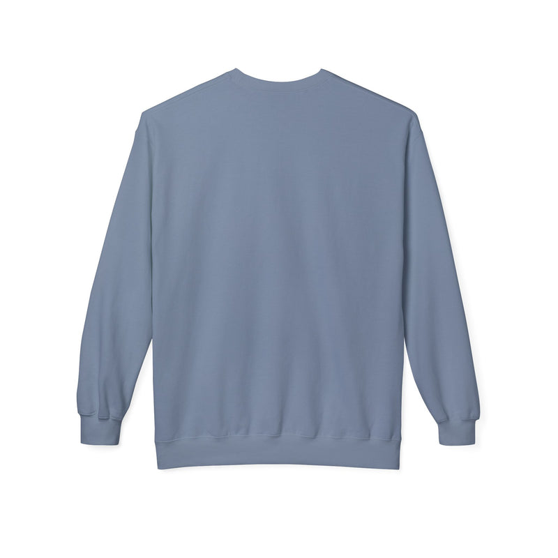 Dominate the Sky aviation sweatshirt back view