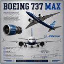 Boeing 737 MAX Sign | Aviation Wall Art for Pilots and Enthusiasts
