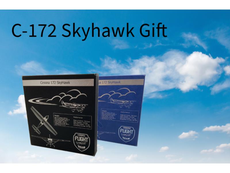 Cessna 172 Skyhawk, Sign, 10"x10" Leather Wall Art