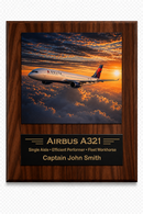 Delta Air Lines Career Milestone Display | Airline Heritage Plaque