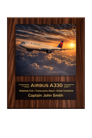 Delta Air Lines Career Milestone Display | Airline Heritage Plaque
