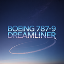 Boeing 787 Dreamliner, Wall Art, Aviation Gift for Airline Pilots, Airplane Art