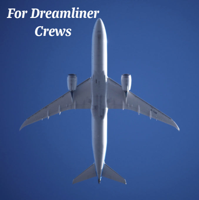 B-787 Flight Crew Sticker, Dreamliner, Airplane | Air Speed Junkie