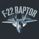 F-22 Sticker