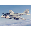 seller, shipping, usa, site