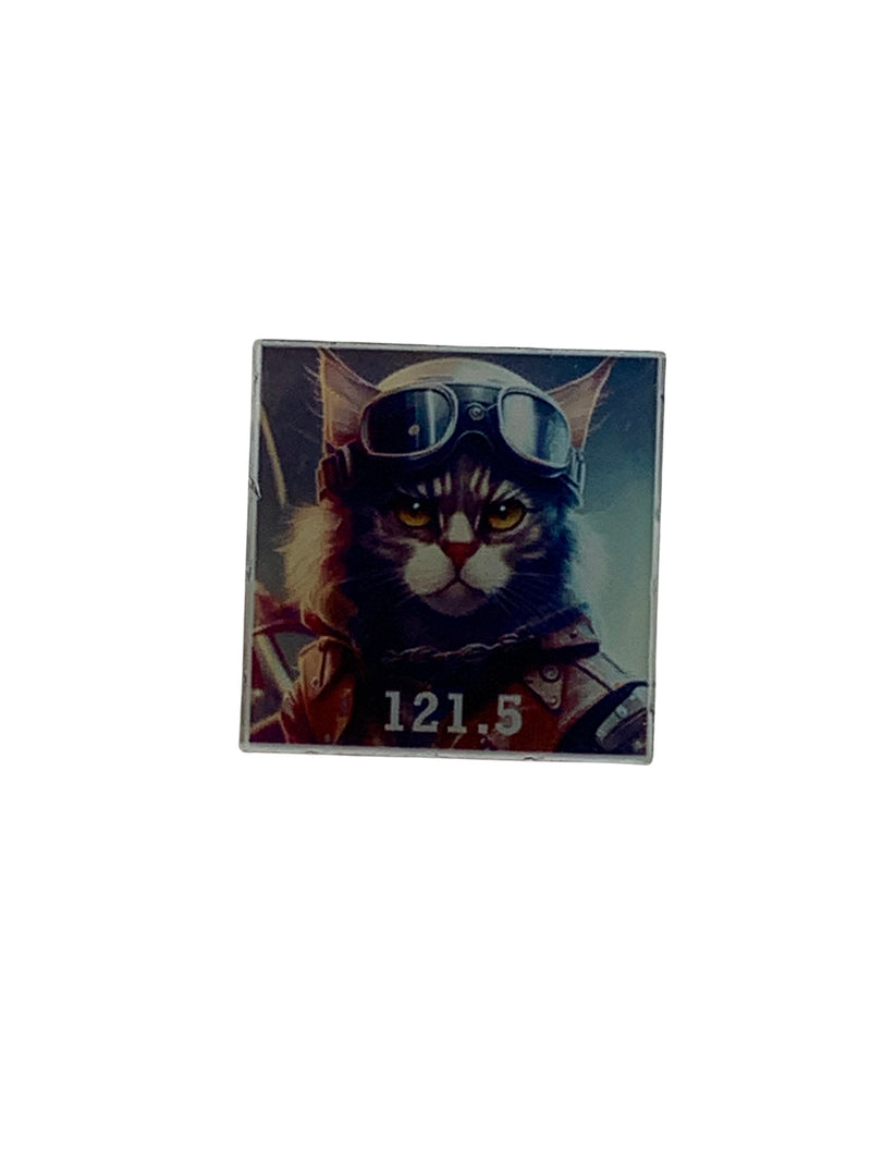 Airline Cat Pin, Your on Guard, Keeper of Guard