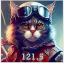 Airline Cat Pin, Your on Guard, Keeper of Guard