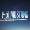 P-51 Mustang Acrylic LED Display, 15 Colors