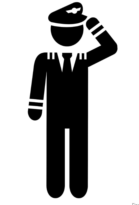 Professional Pilot Sticker, Silhouette PILOTSTKR-78