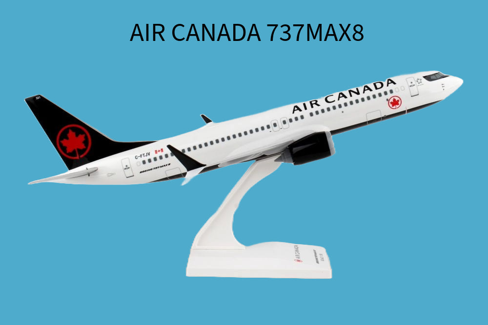 Skymarks Boeing 787-8 Dreamliner Aircraft 
