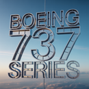 SKYMARKS AMERICAN 737MAX8 1/130 W/WIFI DOME