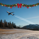 Airline Employee Christmas Ornament Gift Idea