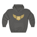 Cessna 172 hoodie, aviation hoodie