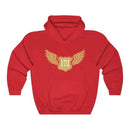 Cessna 172 hoodie, aviation hoodie