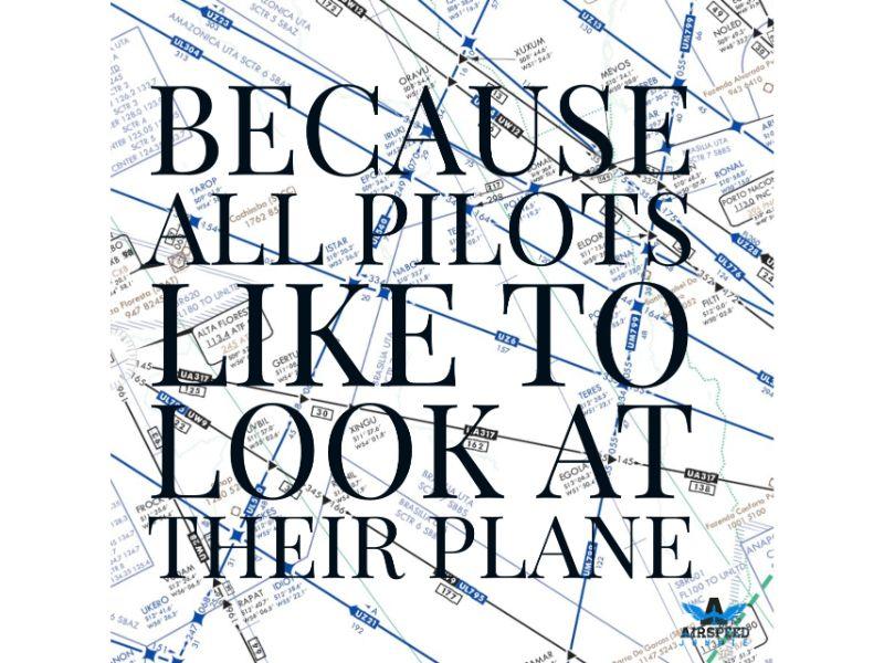 Sign that says "Because all pilots like to look at their plane"