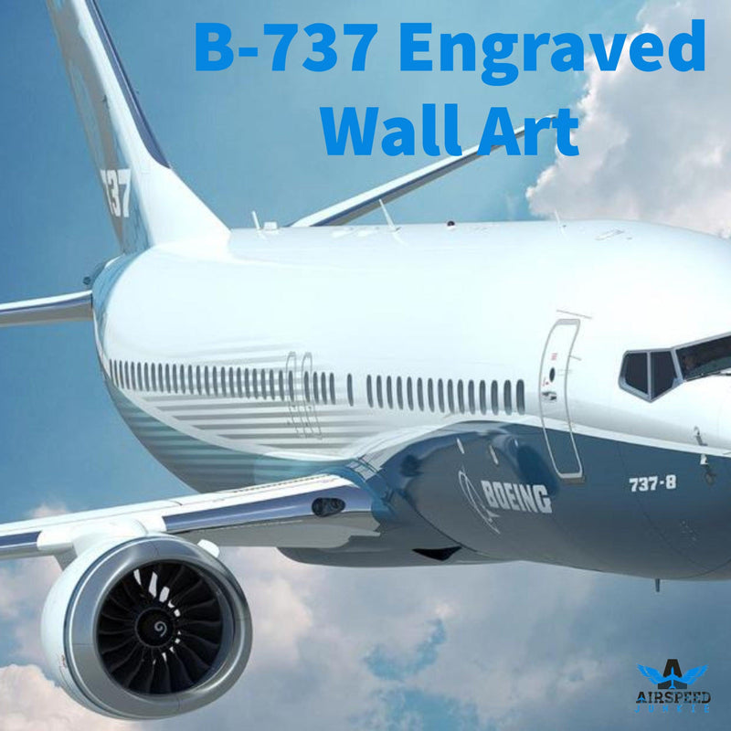 Boeing 737 Gift, Leather Aviation Art - Airspeed Junkie
