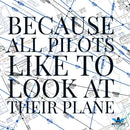 Boeing 757 Aviation Wall Art, B-757 Leather Wall Art - Airspeed Junkie