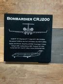 CRJ 200 Leather Wall Art