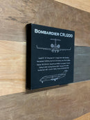 CRJ 200 Leather Wall Art