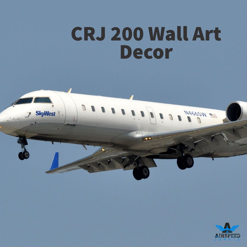 CRJ 200 Leather Wall Art