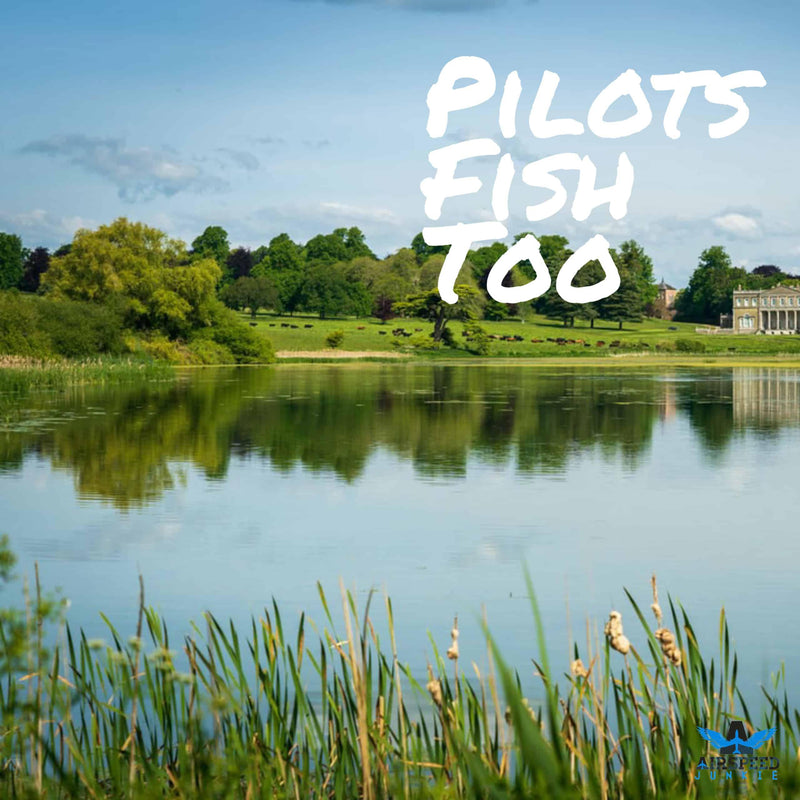 pilots fish